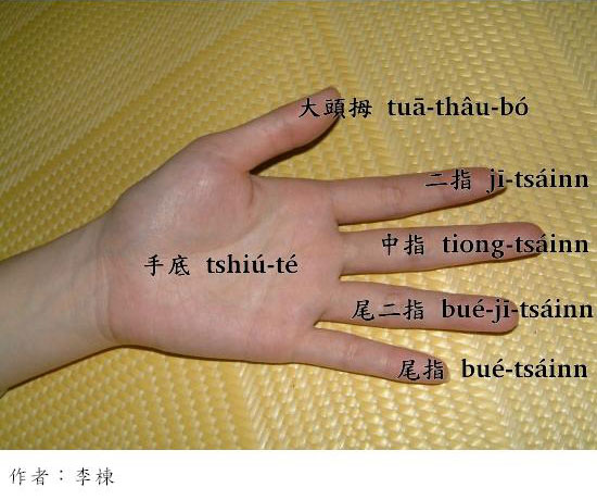 手指名稱圖